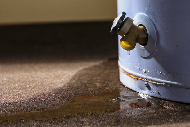 Best Sewage cleanup and water damage restoration  in North Logan, UT