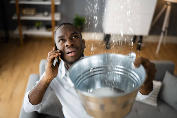 Best Basement water damage restoration  in North Logan, UT
