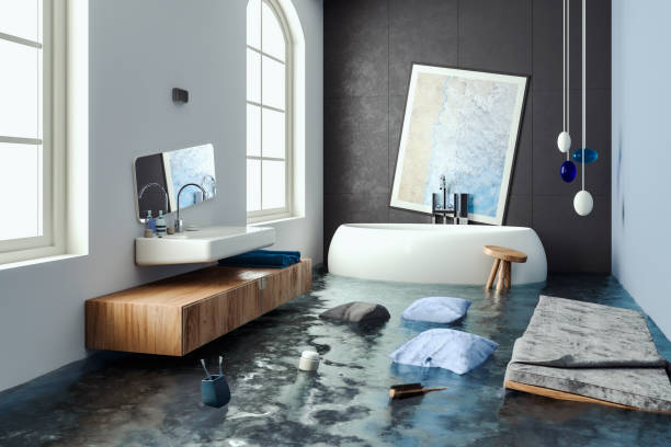 Best Professional water damage repair  in North Logan, UT