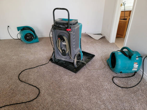 Best Ceiling water damage repair  in North Logan, UT