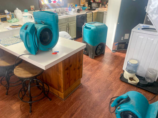 Best Water damage cleanup near me  in North Logan, UT