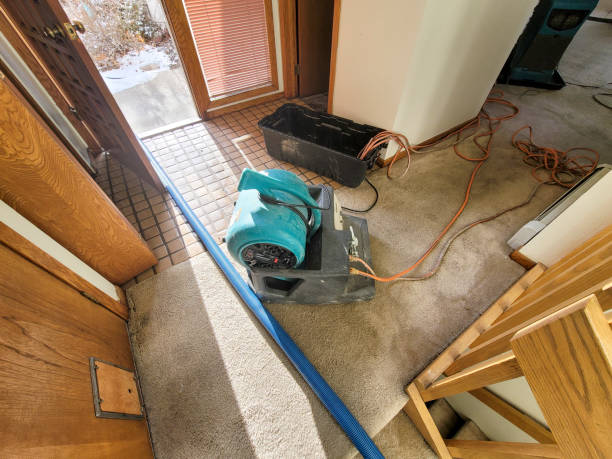 Best Local water damage restoration  in North Logan, UT