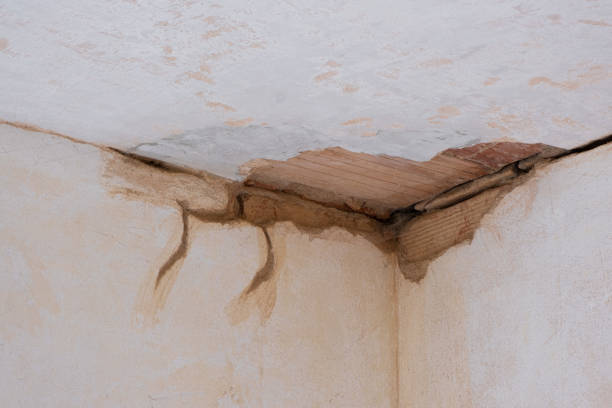 Best Emergency water extraction  in North Logan, UT