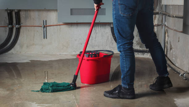 Best Fire Damage Restoration  in North Logan, UT
