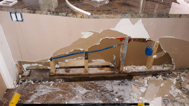 Best Basement water damage restoration  in North Logan, UT