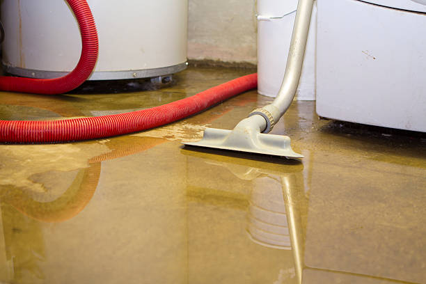 Carpet water damage restoration in UT