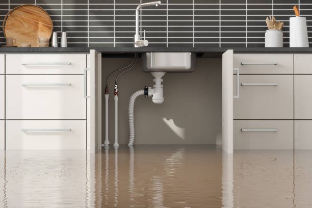 Best Flooded house restoration  in North Logan, UT